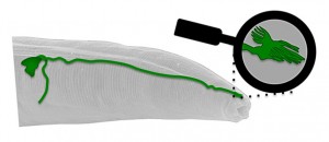 magnetosensor830
